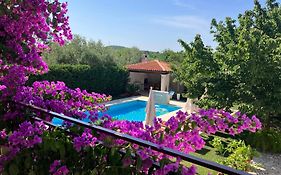 Apartments Maras
